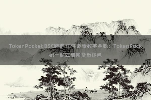 TokenPocket BSC跨链 任性贬责数字金钱：TokenPocket一站式加密货币钱包